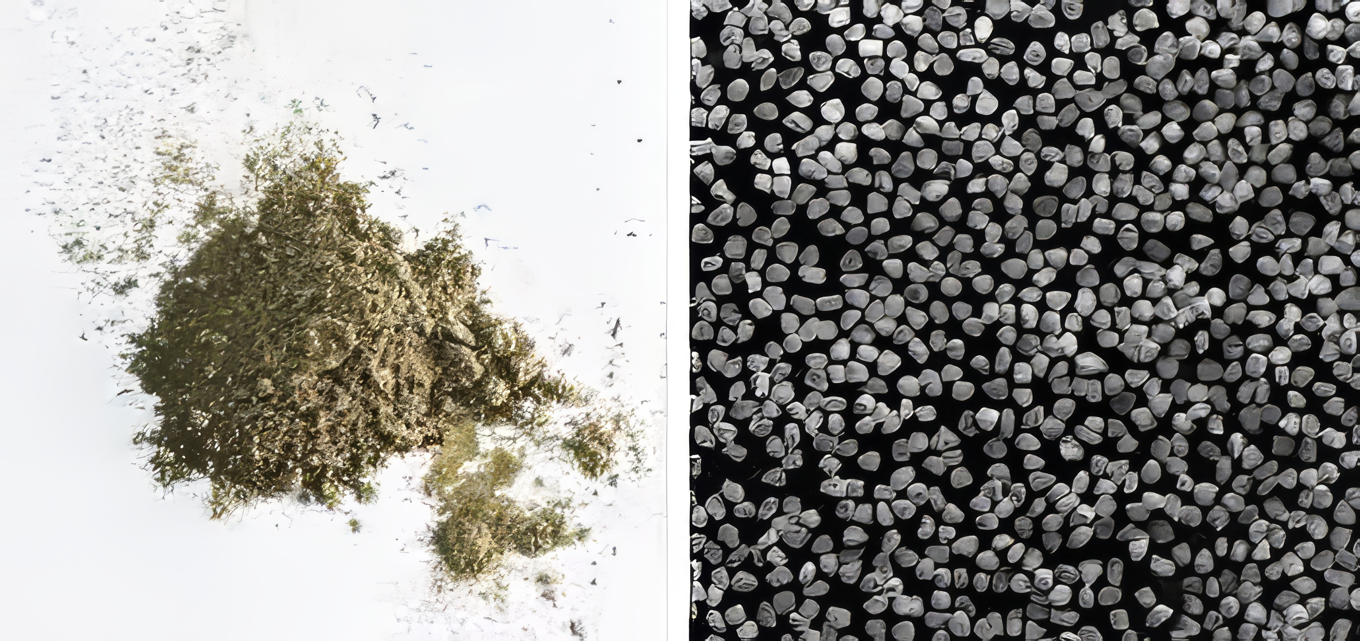 Алмазный порошок